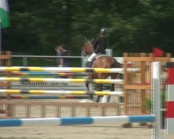 jumper Sara Lien (KWPN (Royal Dutch Sporthorse), 1999, from Lincoln)