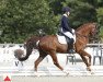 dressage horse Bonamie 6 (German Riding Pony, 2010, from Benetton S)