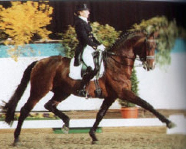 stallion Rosier (Oldenburg, 1991, from Rubinstein I)