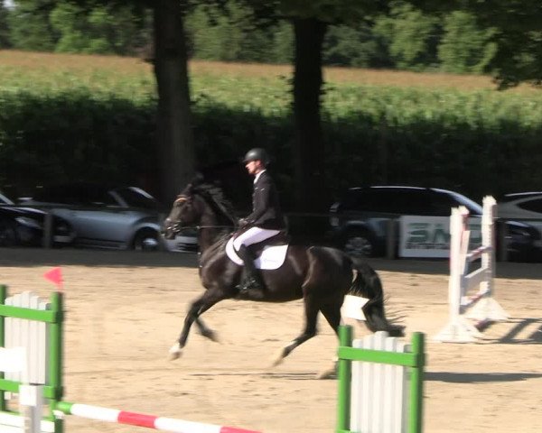 Reitturnier Recklinghausen 2022