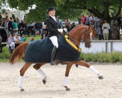 broodmare Devina 45 (Württemberger, 2006, from Dacaprio)