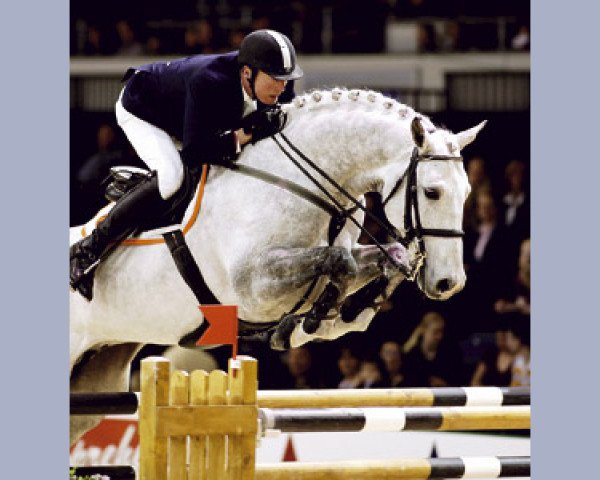 stallion Clinton H (Holsteiner, 1994, from Carolus I)
