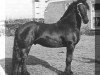 horse Reitse 272 (Friese, 1978, from Hearke 257)