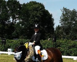 dressage horse Fanny Supergirl (Pony without race description, 2012)