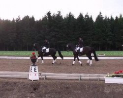 dressage horse Lawaro G (Hanoverian, 1998, from Lacantus)