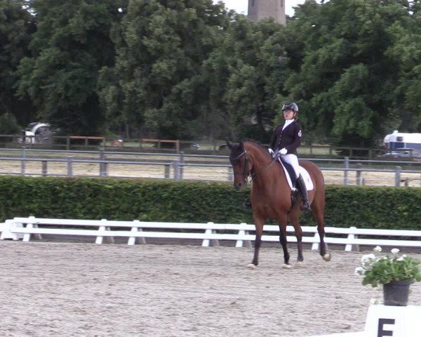 Reitturnier Neustadt/Dosse 2022