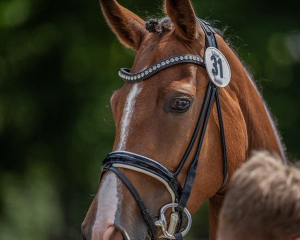 broodmare Escolea Belissima (Rhinelander, 2019, from Escolar)