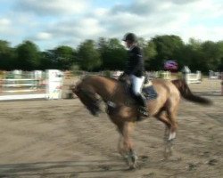 jumper Leviens des Cabanes (Selle Français, 1999, from Baloubet du Rouet)