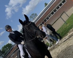 dressage horse F³rst Leopold 10 (Oldenburg, 2015, from Fürst Wilhelm)