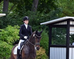 dressage horse Donna Dalea (KWPN (Royal Dutch Sporthorse), 2010, from Lord Leatherdale)