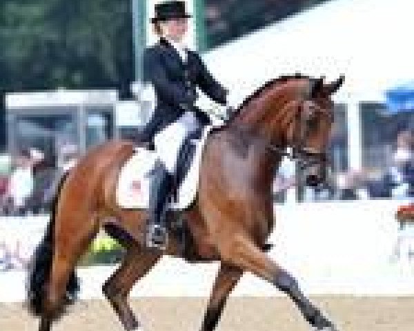 stallion Hoejersmindes Rolex (Danish Warmblood, 2006, from Glock's Romanov)