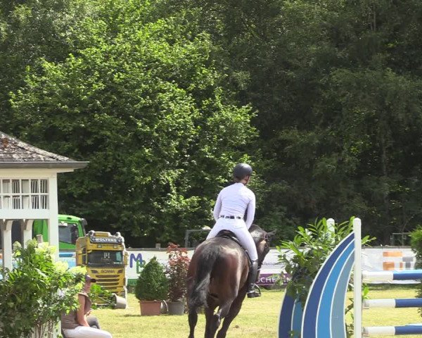 Reitturnier Greven 2022