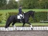 dressage horse Schakiro Pilekaer (Danish Warmblood, 2007, from Don Schufro)