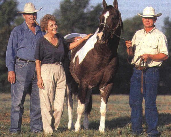 Deckhengst Delta OLena (Paint Horse, 1985, von Doc OLena)