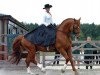 stallion Holme Grove Solomon (Trakehner, 1986, from Fernando)