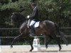 dressage horse Sirikit (Danish Warmblood, 2007, from Hotline)