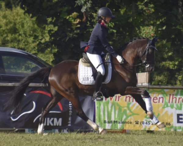 dressage horse Carbone (German Riding Pony, 2015, from Chicos Chameur)