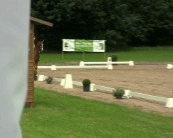 dressage horse Duke of the Dance (Hanoverian, 2007, from Dancier)