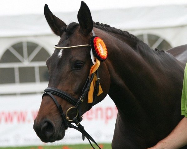 broodmare S Deluxe (Westphalian, 2008, from Sir Donnerhall I)
