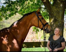 horse Mon bijou d'oeil (Westphalian, 2000, from Monte Cassino)