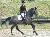 jumper Cordial Sense (KWPN (Royal Dutch Sporthorse), 2006, from Casco 4)