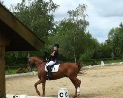 dressage horse Beau Renard (Hanoverian, 1998, from Brentano II)