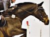 broodmare Zentina S (Saxony-Anhaltiner, 1997, from Zenturio)