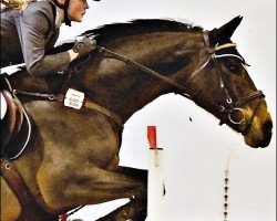 broodmare Zentina S (Saxony-Anhaltiner, 1997, from Zenturio)