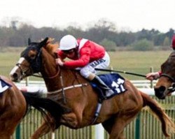 broodmare Starscope xx (Thoroughbred, 2009, from Selkirk xx)