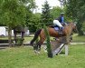 jumper Ares (Polish Warmblood, 2008)