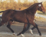 stallion Landfriese I (Oldenburg, 1987, from Landadel)