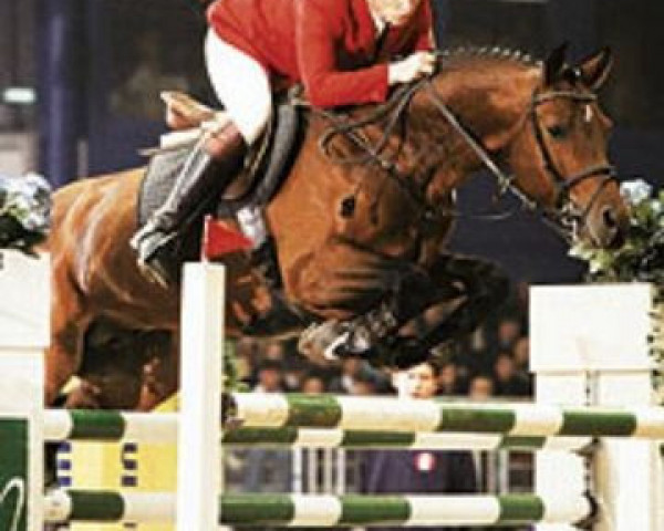 stallion Landsieger I (Oldenburg, 1991, from Landfriese I)