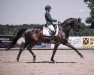 dressage horse Black Jack W (Württemberger, 2010, from Blickpunkt 4)