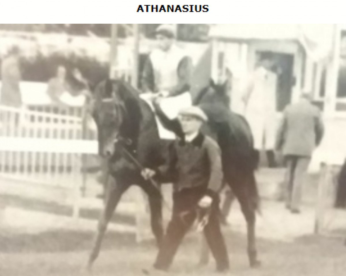 stallion Athanasius xx (Thoroughbred, 1931, from Ferro xx)