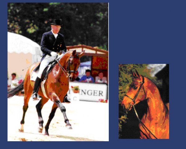 stallion Per Gynt (Hanoverian, 1991, from Prince Thatch xx)