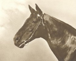 broodmare Gentlemen's Relish xx (Thoroughbred, 1926, from He xx)