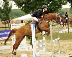 jumper Ben Gun (Zweibrücken, 2009, from Baloubet du Rouet)