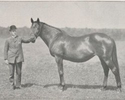 broodmare Atalanta xx (Thoroughbred, 1878, from Galopin xx)