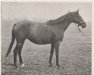 broodmare Fanny xx (Thoroughbred, 1888, from Isonomy xx)