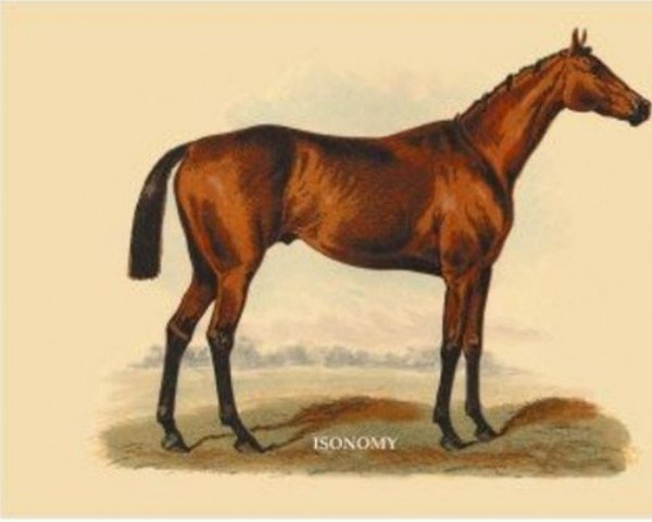 horse Isonomy xx (Thoroughbred, 1875, from Sterling xx)