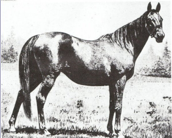 broodmare Mersey xx (Thoroughbred, 1874, from Knowsley xx)