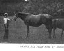 broodmare Orsova xx (Thoroughbred, 1888, from Bend Or xx)