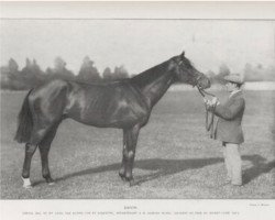 Deckhengst Dagor xx (Englisches Vollblut, 1910, von Flying Fox xx)