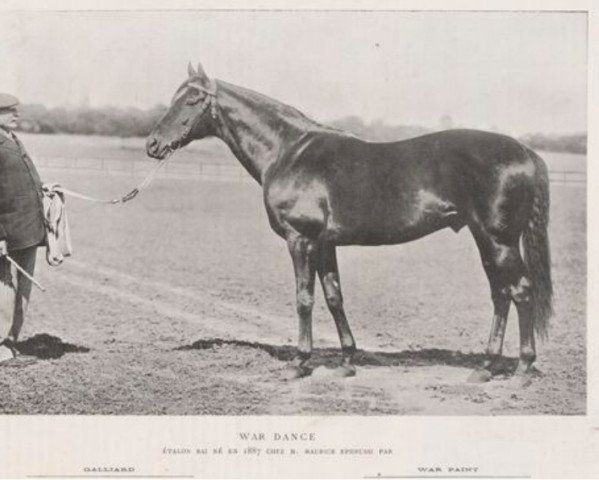 stallion War Dance II xx (Thoroughbred, 1887, from Galliard xx)