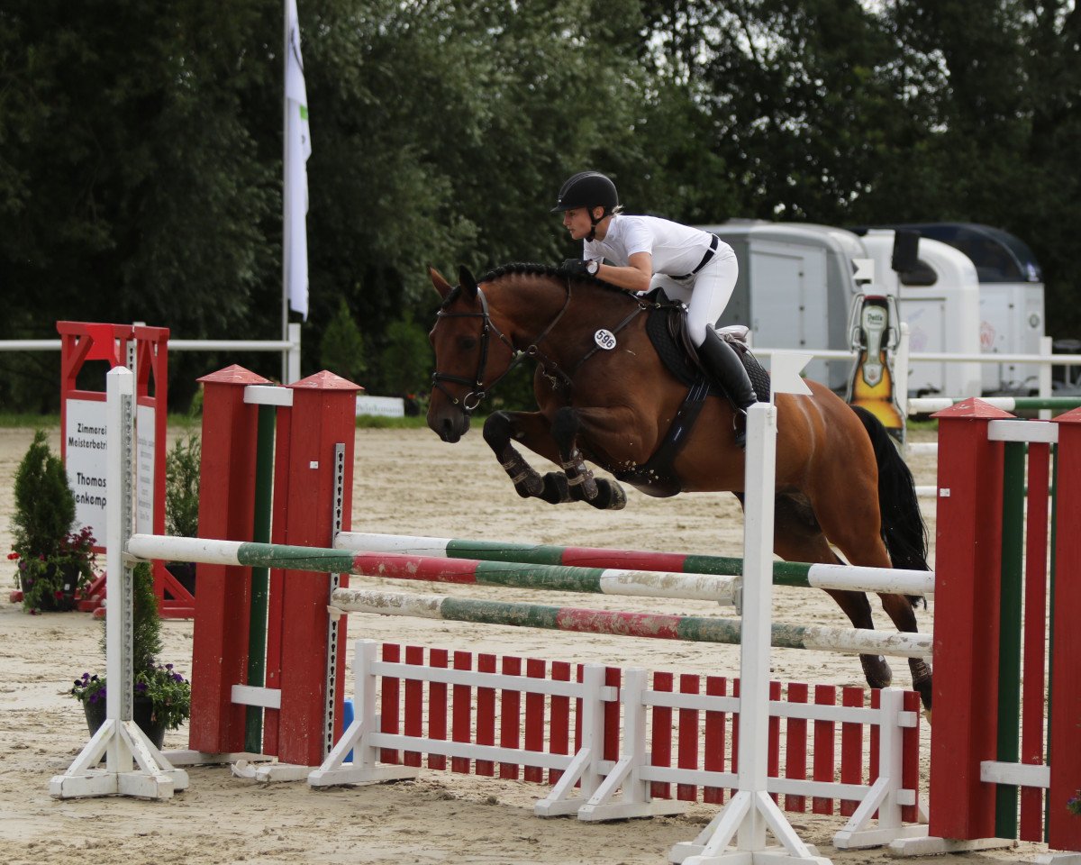 jumper Lutz 147 (Westphalian, 2014, from Lordanos)