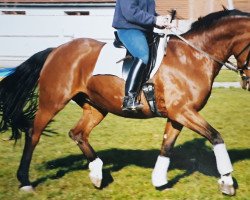 horse Nosey Winnie (Bayer, 1992, from Walt Disney I)