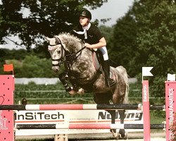 jumper Comexx (German Sport Horse, 2009, from Convoi)