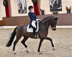 dressage horse Forever Fantastic (Hanoverian, 2010, from Fuechtels Floriscount OLD)