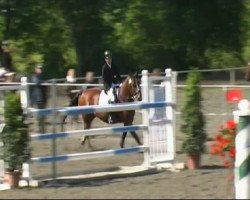 broodmare Al'arrabbiata (Hanoverian, 1998, from Argentinus)