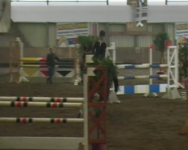 horse Lord Louis (Hanoverian, 1995, from Landfriese I)